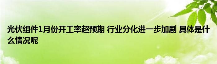 博乐体育：光伏组件1月份开工率超预期 行业分解进一步加剧 全部是什么情状呢(图1)